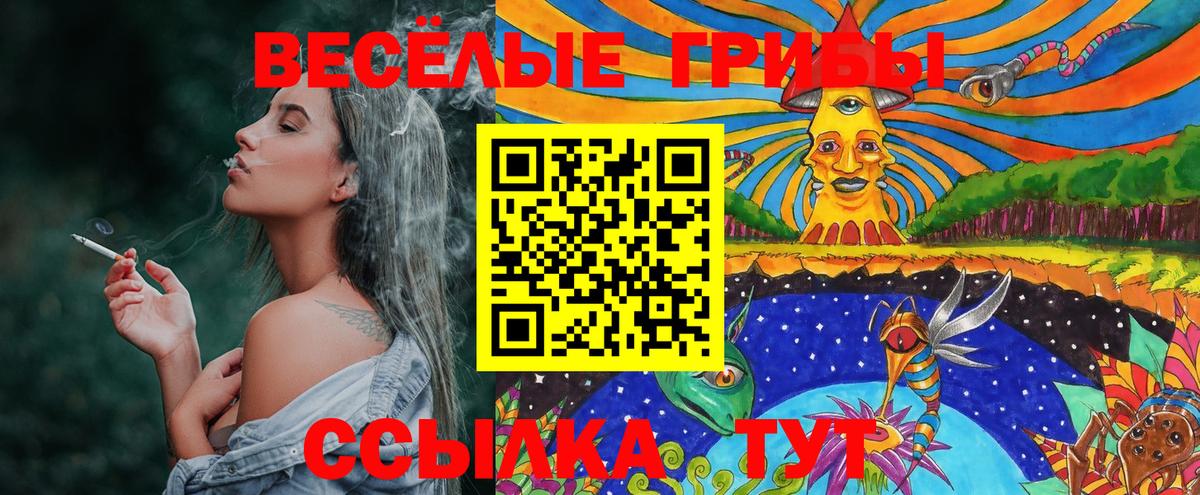 Череповец  Псилоцибиновые грибы MAGIC MUSHROOMS  Вход с VPN 