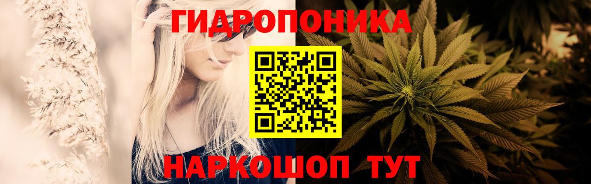 Конопля сатива  Каннабис индика  Череповец  Вход с VPN 